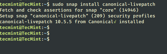 Install Ubuntu Livepatch Service