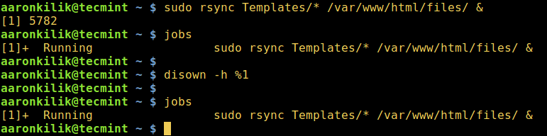 How to Start Linux Command in Background and Detach Process in Terminal