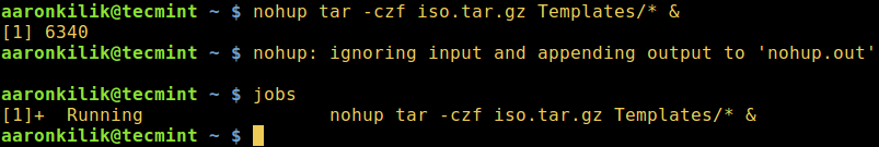 How to Start Linux Command in Background and Detach Process in Terminal