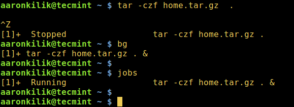 How To Start Linux Command In Background And Detach Process In