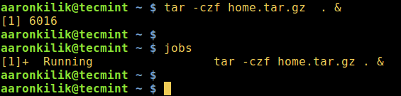 How to Start Linux Command in Background and Detach Process in Terminal