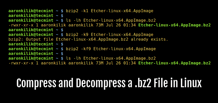 Compress and Decompress bz2 File Using Bzip2