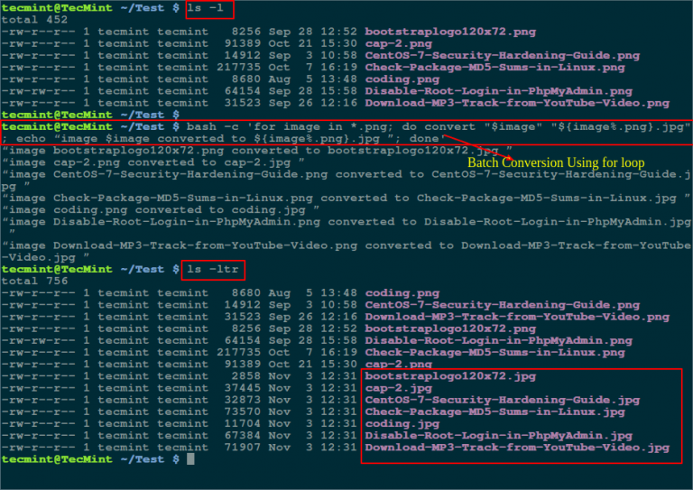 4 Ways To Batch Convert Your PNG To JPG And Vice Versa 4 ways to batch convert your png to jpg and vice versa