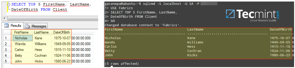 Run MSSQL Database Queries on Linux