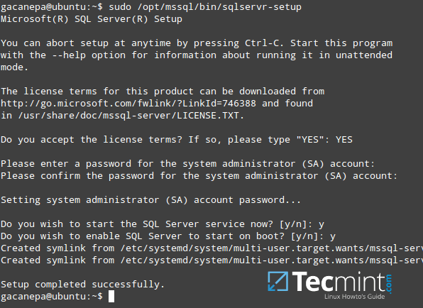 SQL Server Setup on Linux