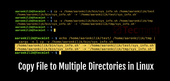 Copy a File to Multiple Directories in Linux