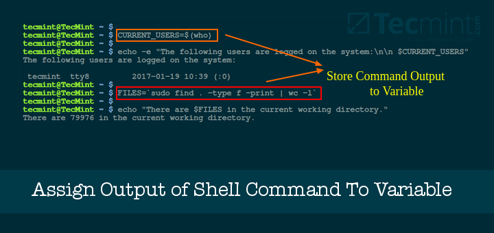 shell variable assignment