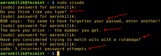 sudo Insult in Action