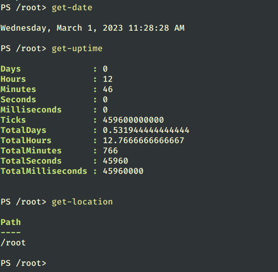 Running PowerShell Commands