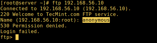 Test Anonymous FTP Login