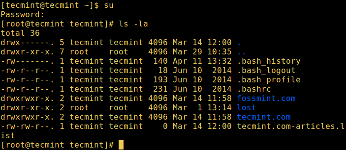 Interactive Non-Login Shell