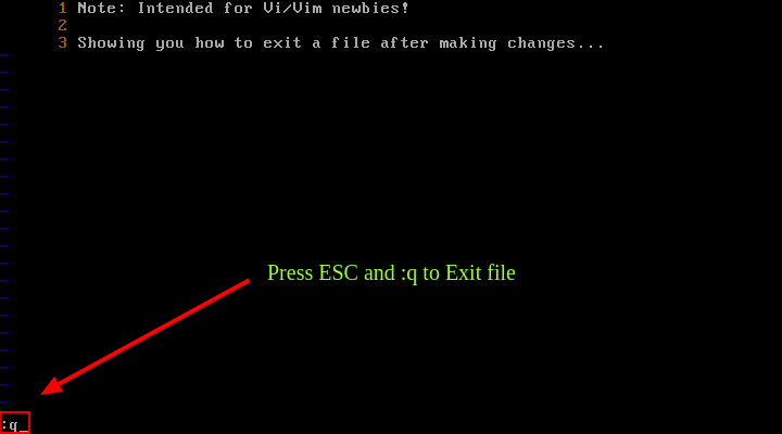 Exit File in Vi Editor
