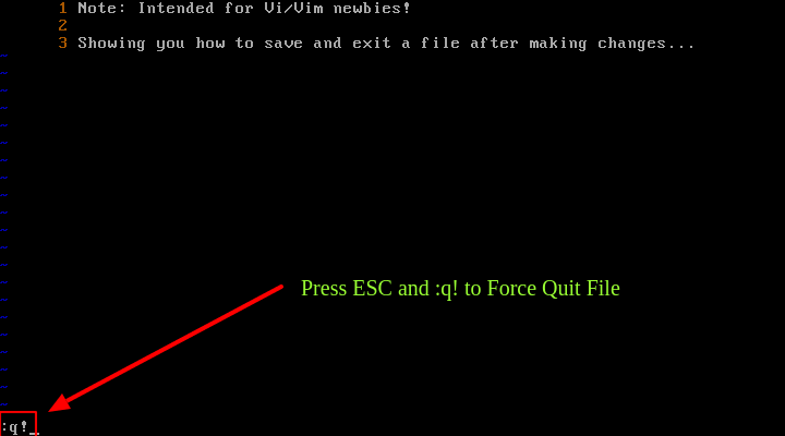 Force Quit Vi File in Linux