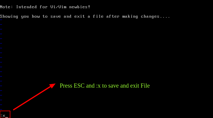 Save and Exit File in Vim
