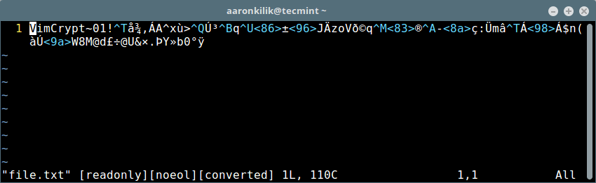 Vim Content Encrypted