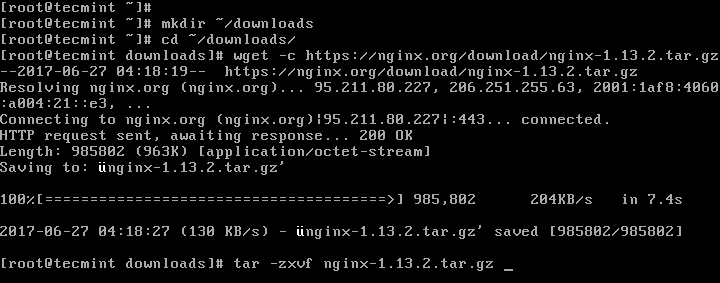 Download Nginx Source Files