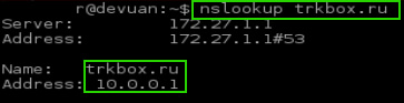 Watch DNS Lookup