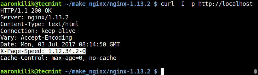 Check Nginx with Ngx_Pagespeed