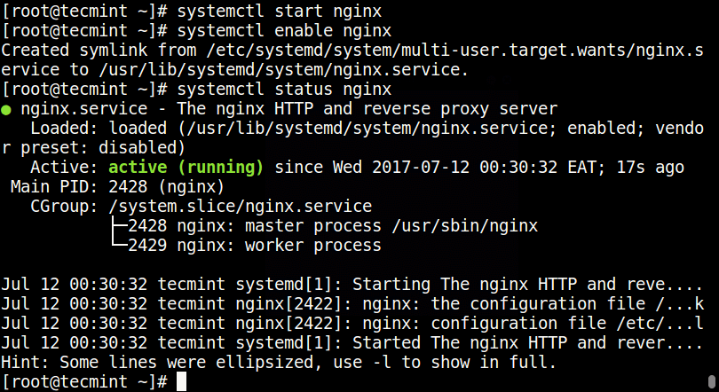 Start and Enable Nginx at Boot