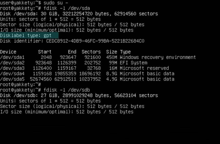 Check Partition Disk Label