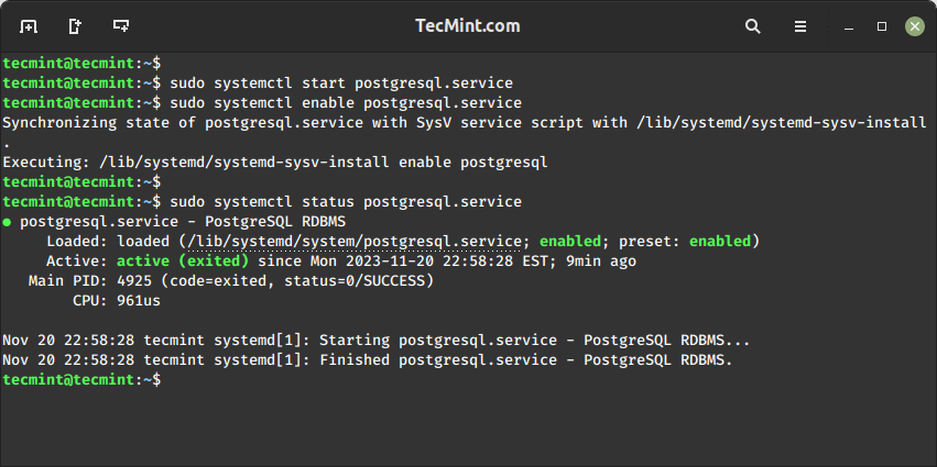 Check PostgreSQL Running Status