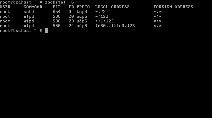 List Ipv6 Ports on FreeBSD