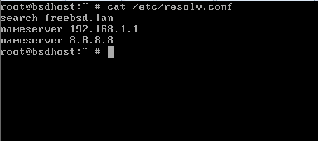  Establecer DNS en FreeBSD 