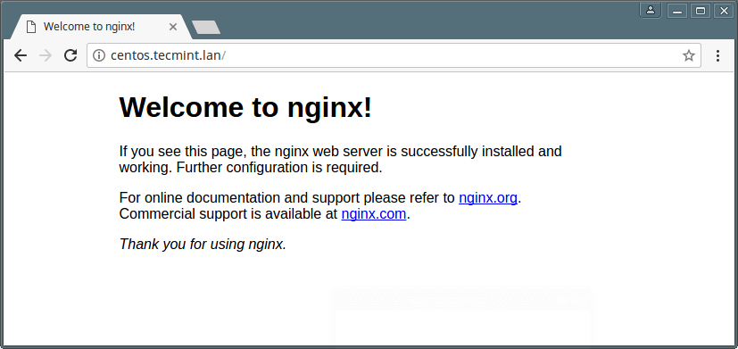 Test Nginx Installation