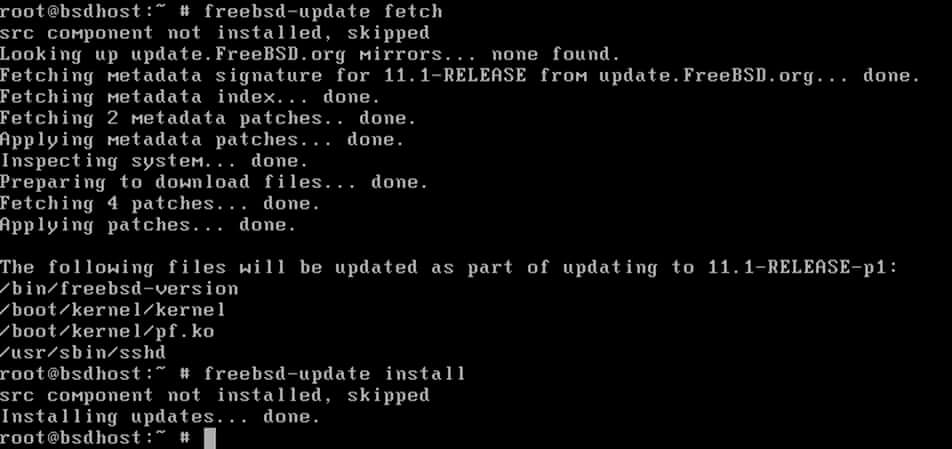 Actualizar el sistema FreeBSD