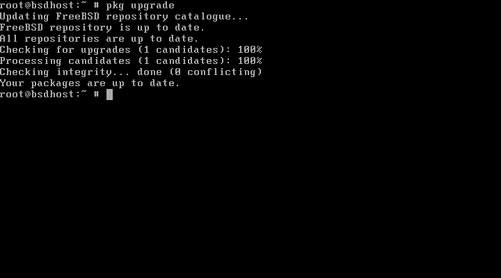  Actualizar paquetes FreeBSD 