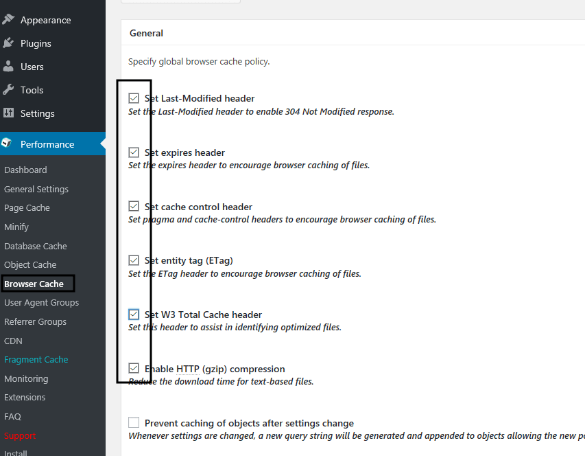 W3 Browser Cache Settings