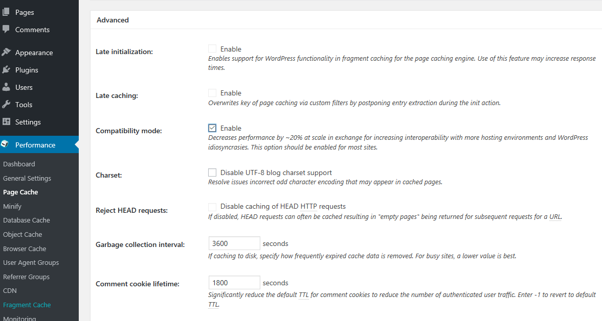 W3 Cache Advance Settings