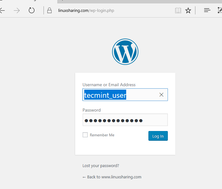 WordPress Dashboard Login