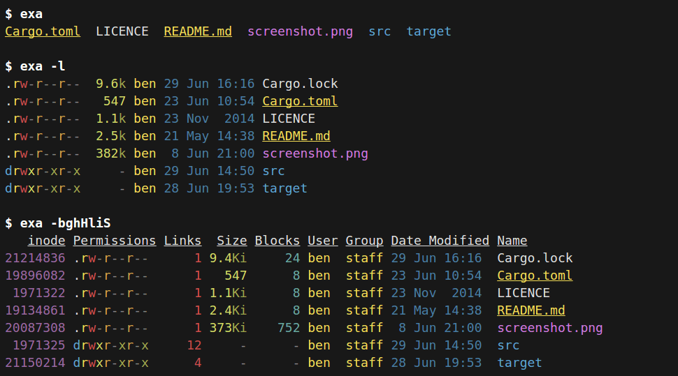 exa Command Examples