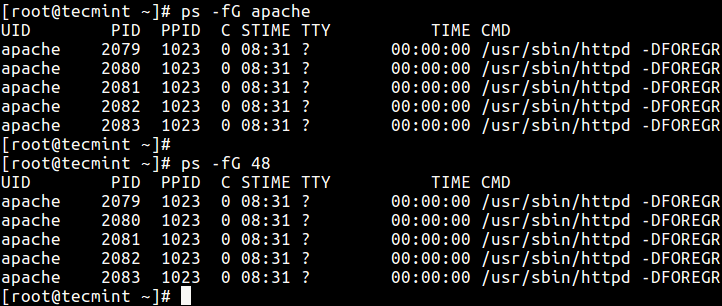 Display Group Processes