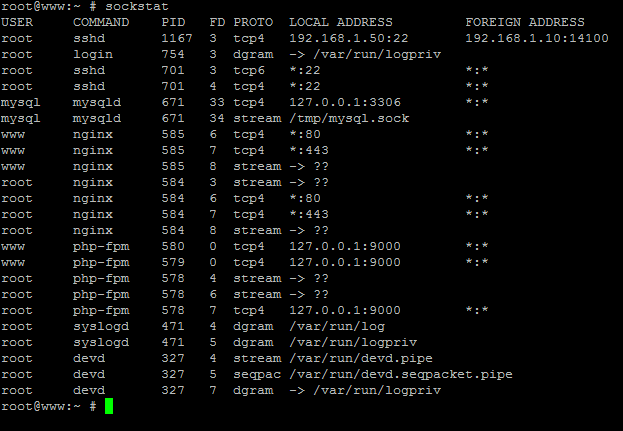 Display Network Ports in FreeBSD