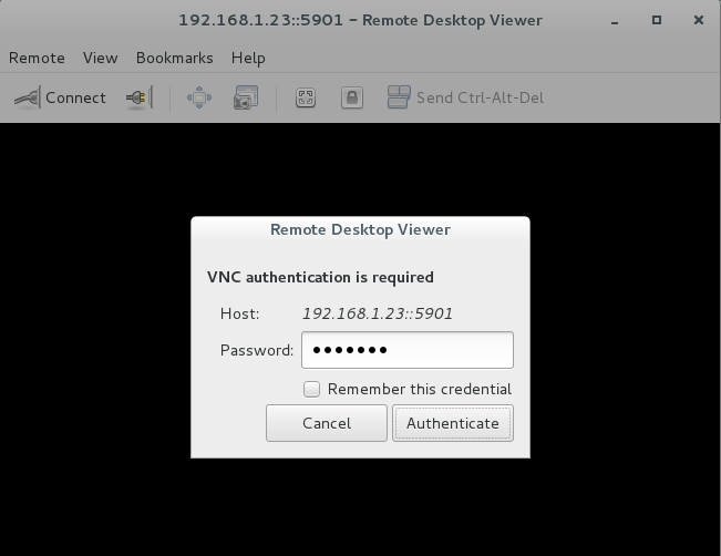 Enter Remote VNC Details
