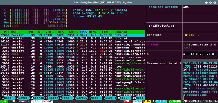 Hollywood Terminal for Linux