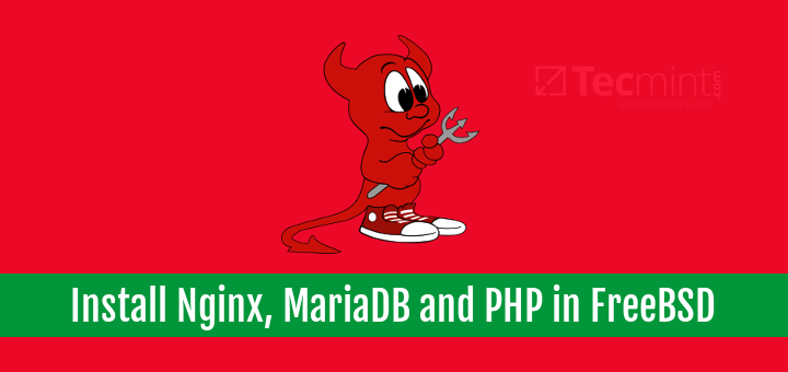 Install Nginx MariaDB and PHP in FreeBSD