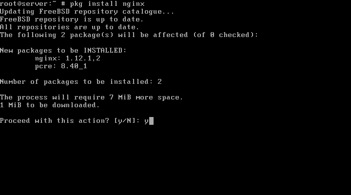 Install Nginx on FreeBSD