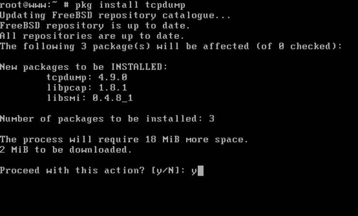 Install Package in FreeBSD
