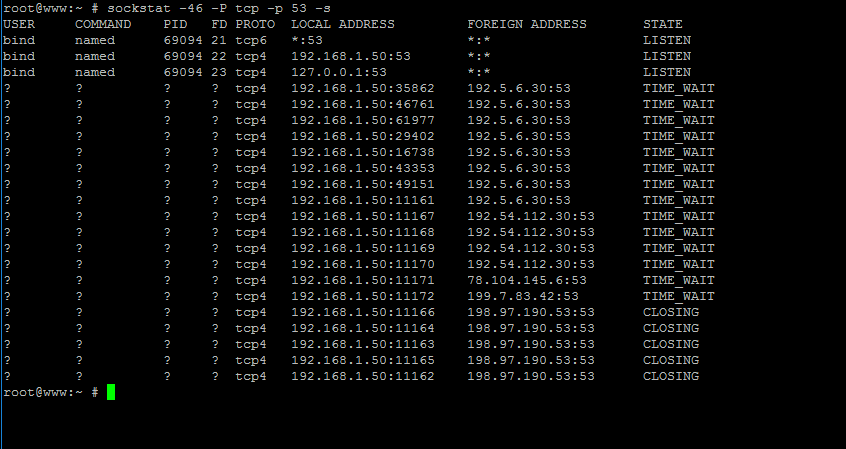 List DNS Opened Sockets