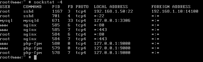 List IPv4 Opened Ports in FreeBSD