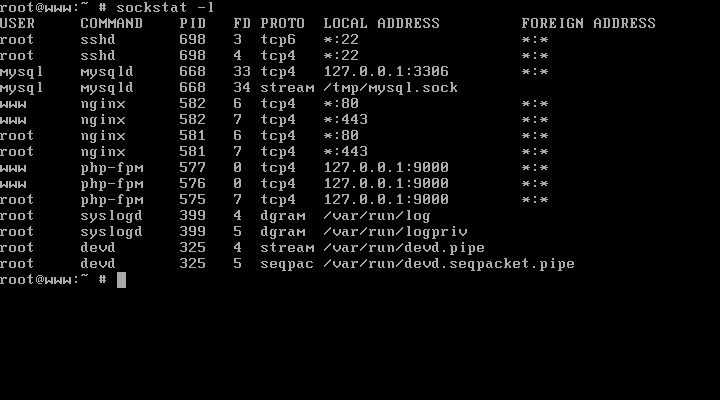 List Opened Network Ports