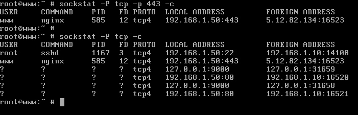 List Opened and Connected Ports