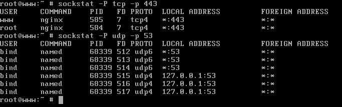List Specific TCP Port