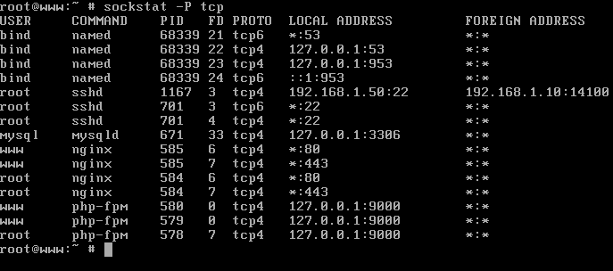 List TCP Opened Ports