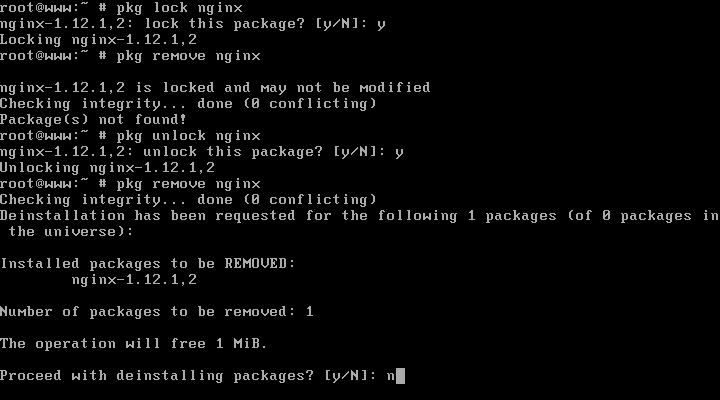 Lock Package from Removing in FreeBSD