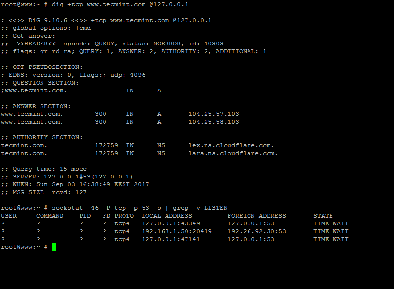 Query TCP DNS on Local