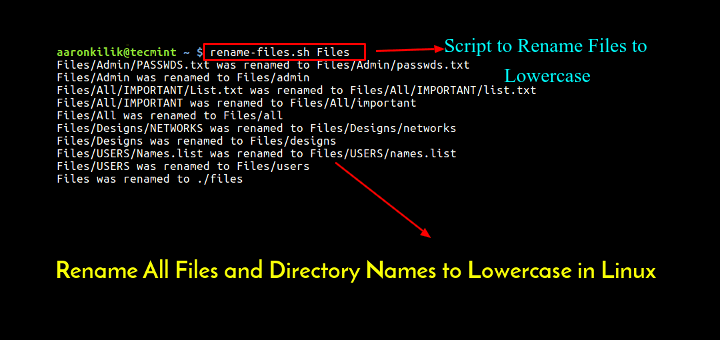 Rename All Files and Directory Names to Lowercase